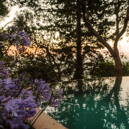 Villa Rizes Sea View *